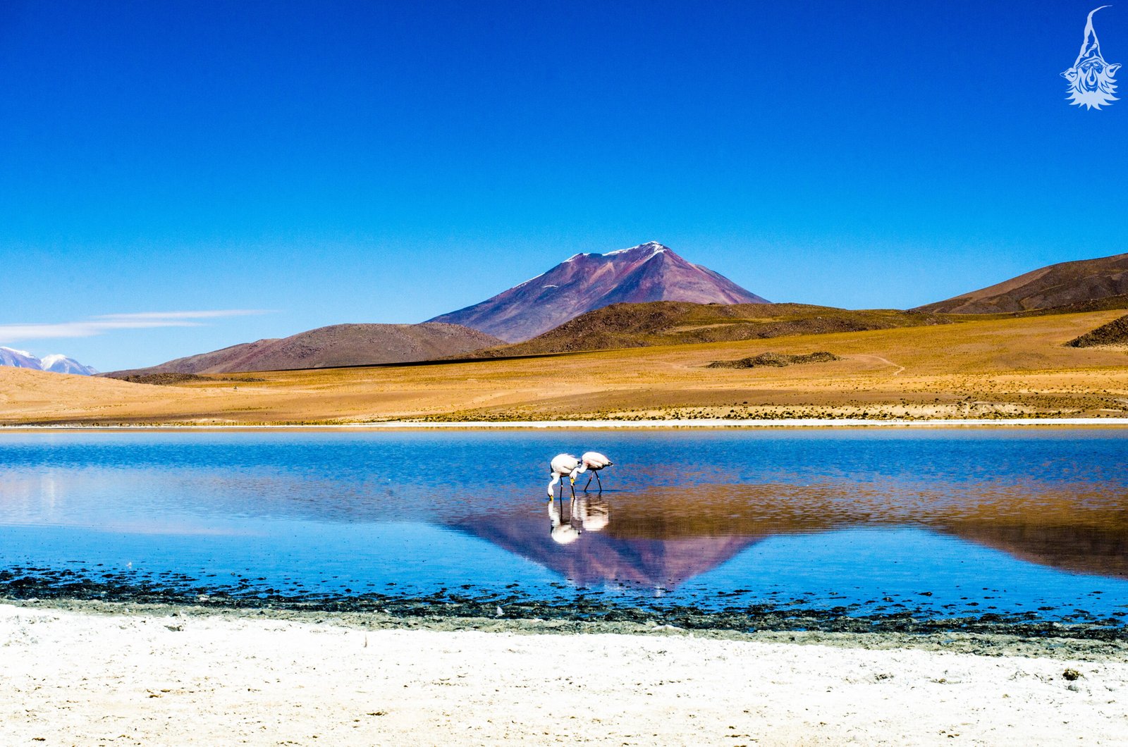 Altiplano em contraste mineral