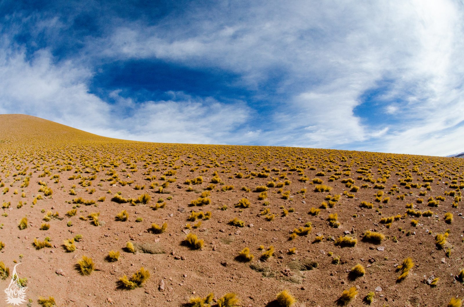 Horizonte perdido no deserto