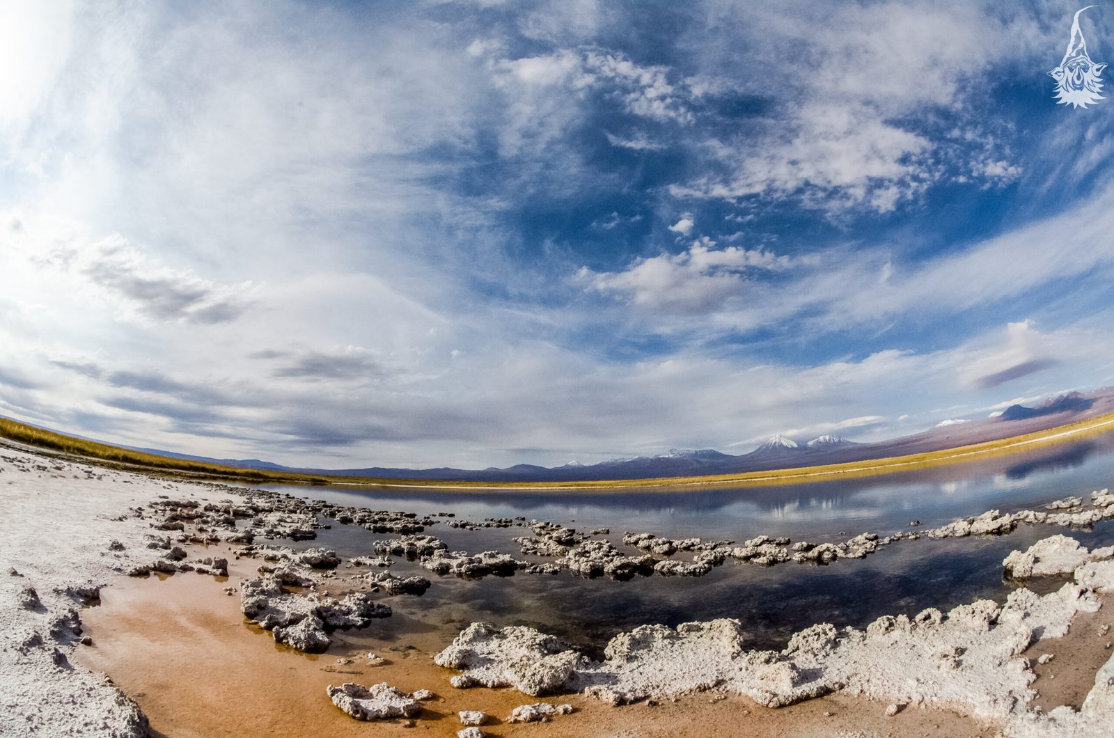 Lagunas Cejar no coração do Atacama