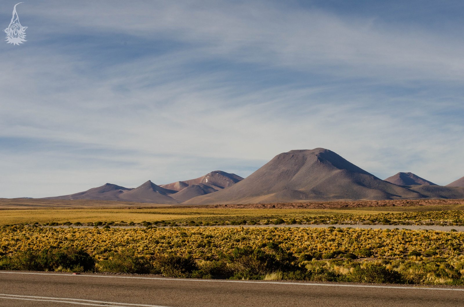 Vulcões e planícies douradas do Altiplano